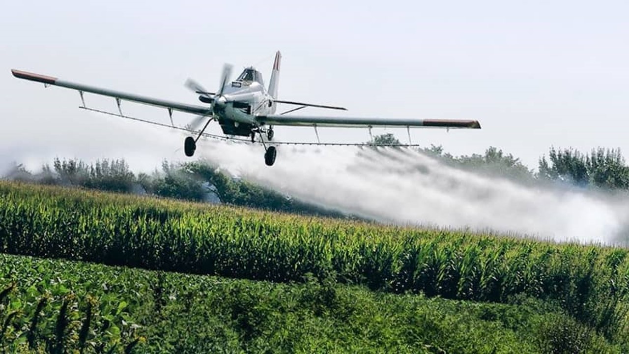 ColumnaDiegoCortazar