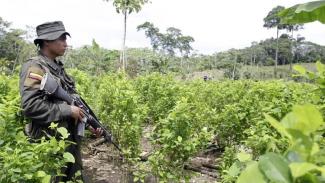 narcoestadocolombia